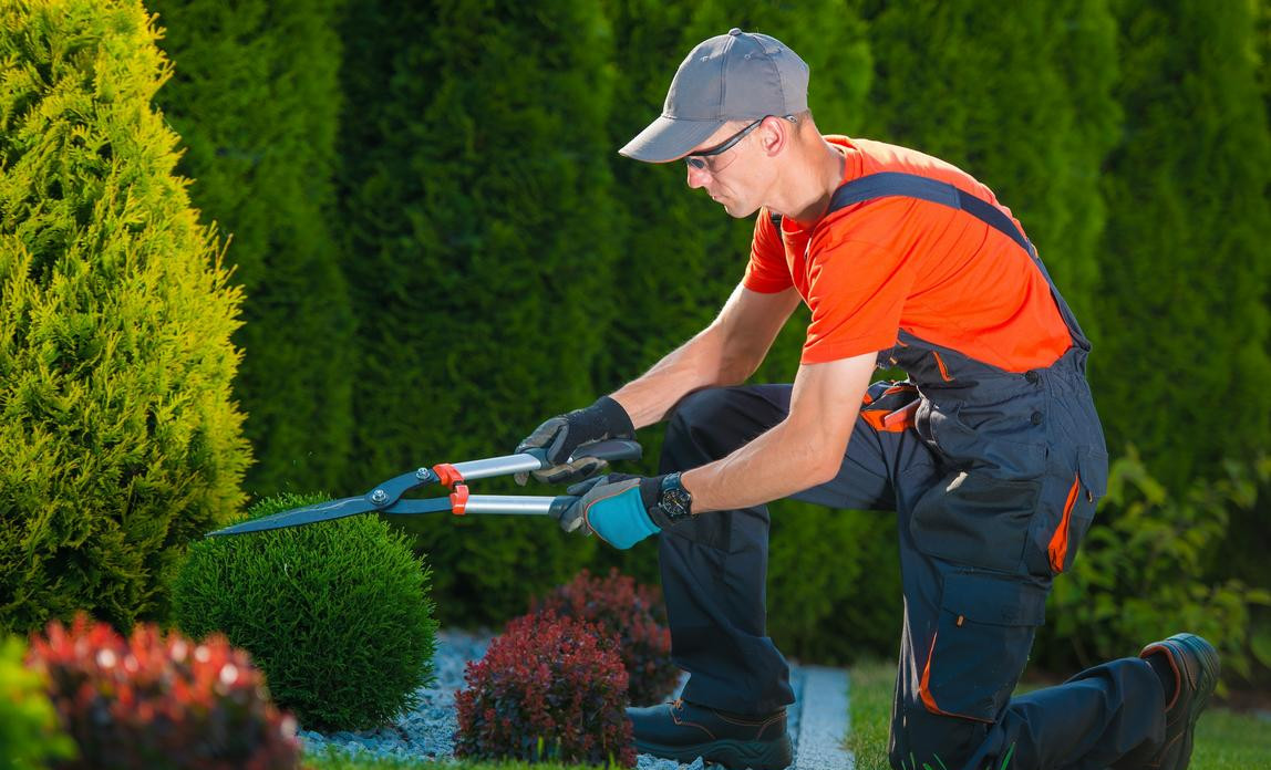 Service